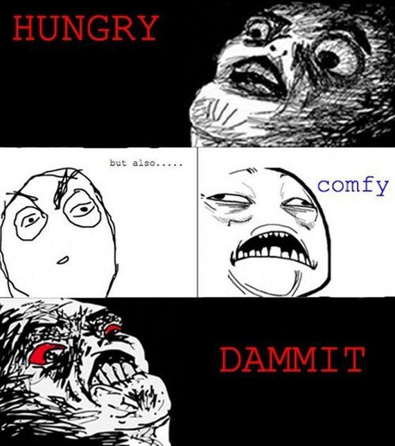 funny-pictures-420