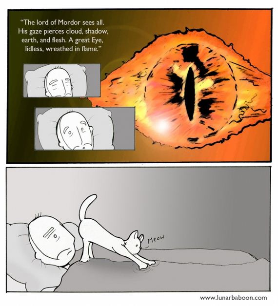 funny-pictures-422