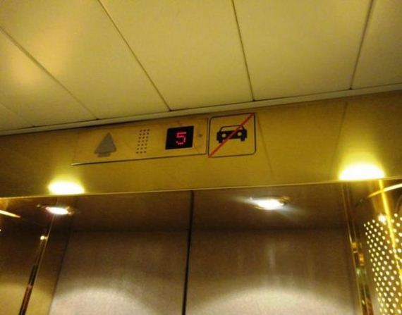 funny-pictures-422