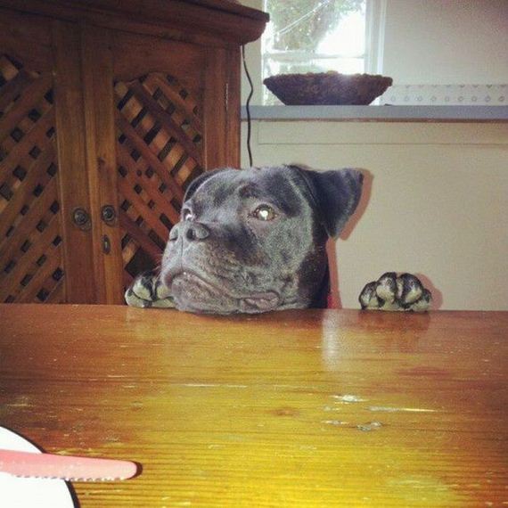 funny-pictures-422