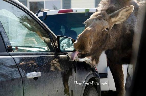 funny-pictures-422
