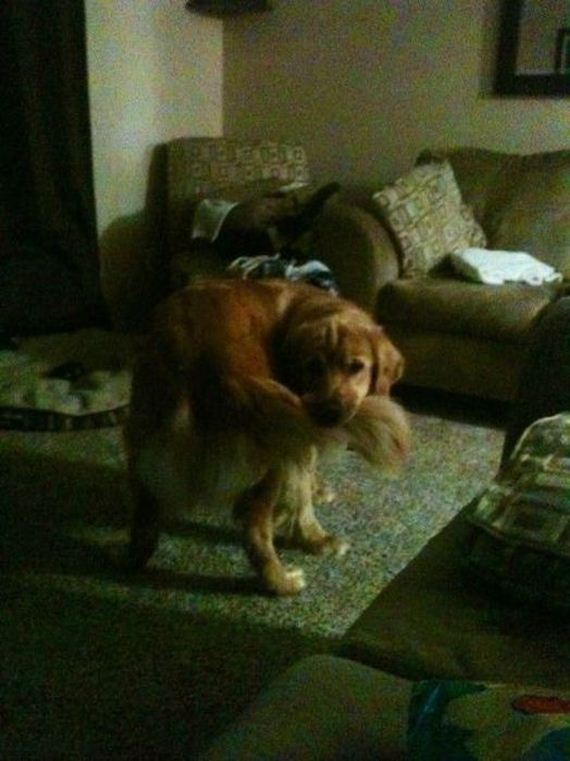 funny-pictures-422