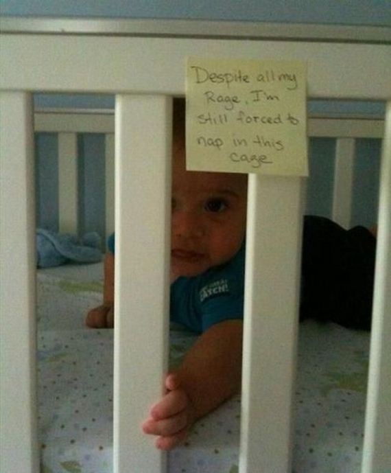 funny-pictures-422