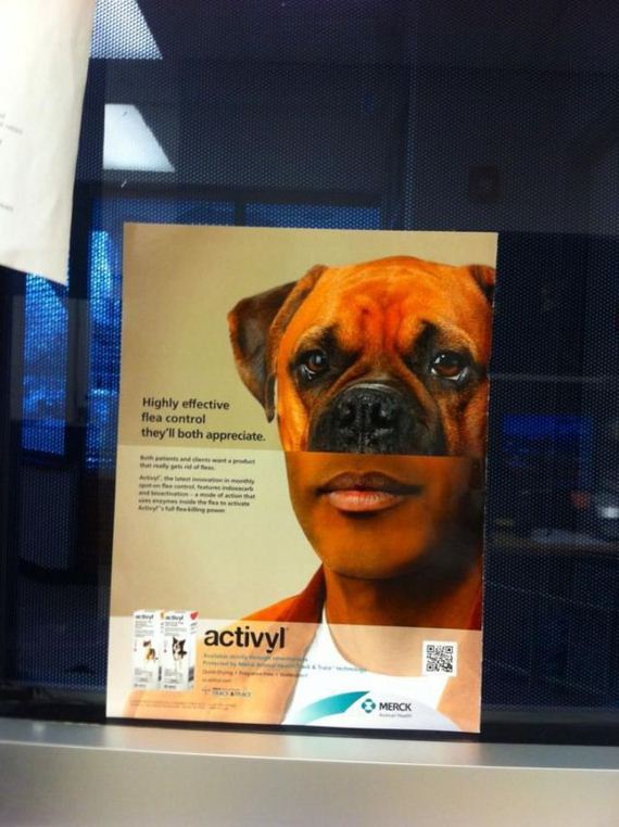 funny-pictures-422