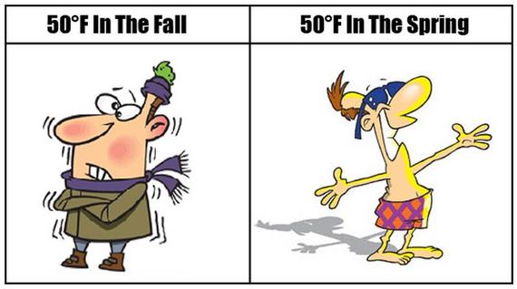 funny-pictures-423