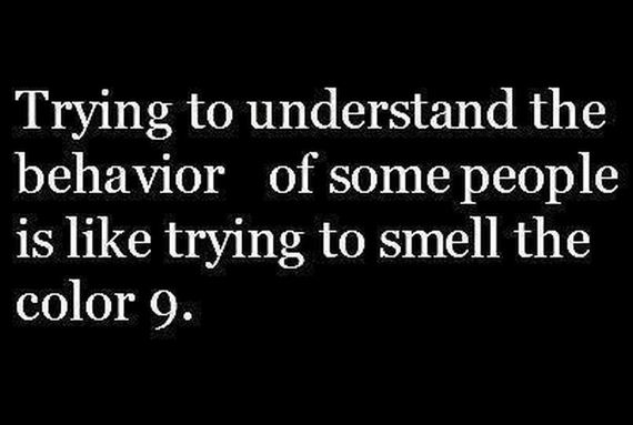funny-pictures-423