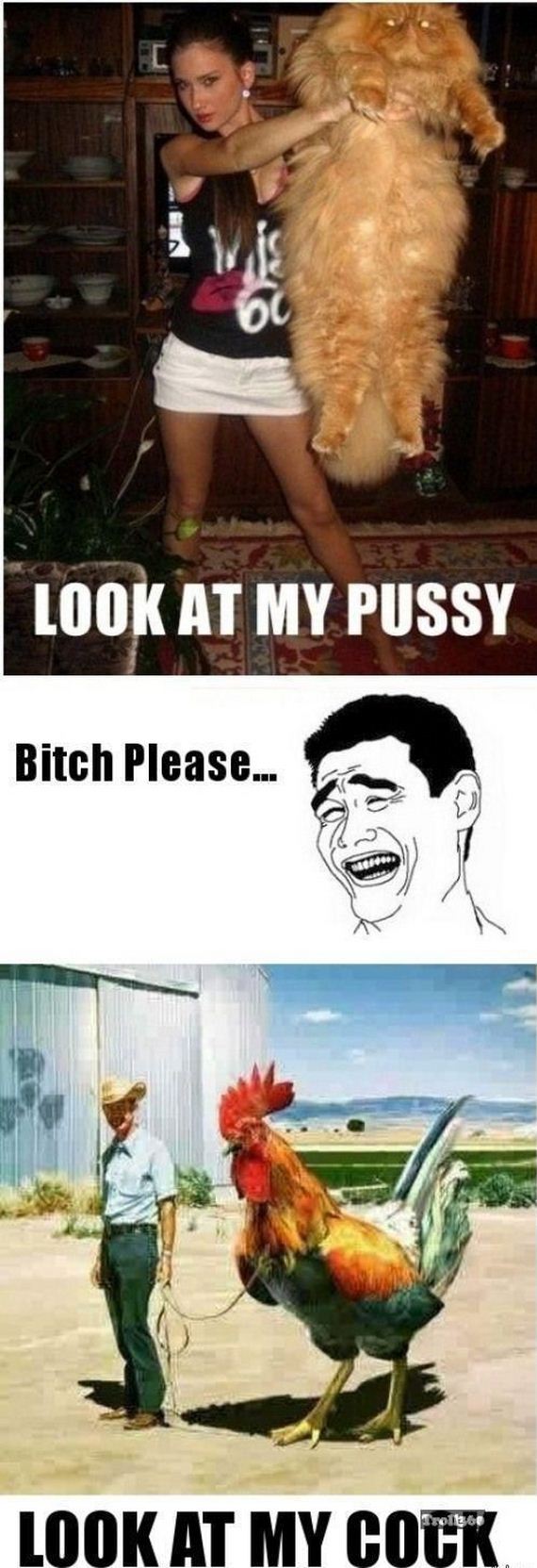 funny-pictures-423
