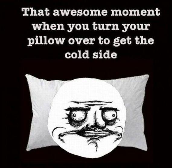 funny-pictures-425