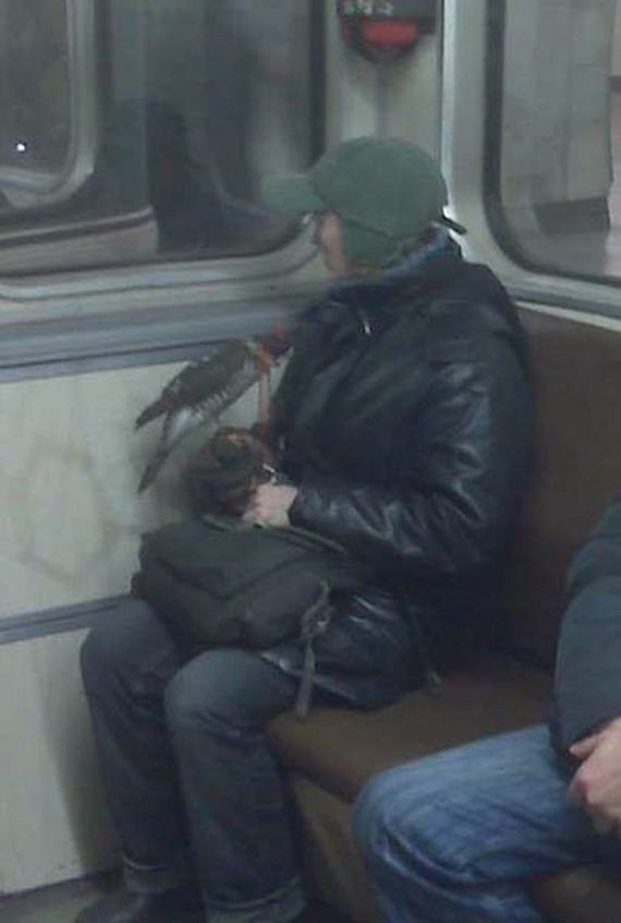 funny-pictures-425