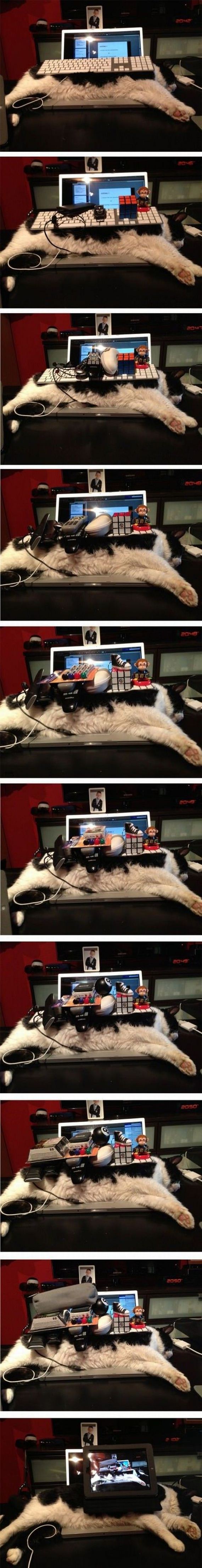 funny-pictures-425