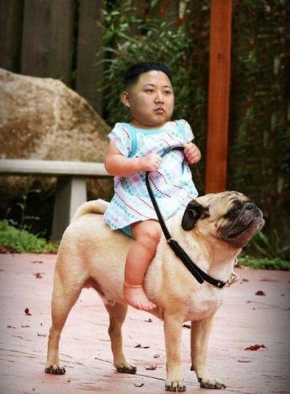 funny-pictures-425