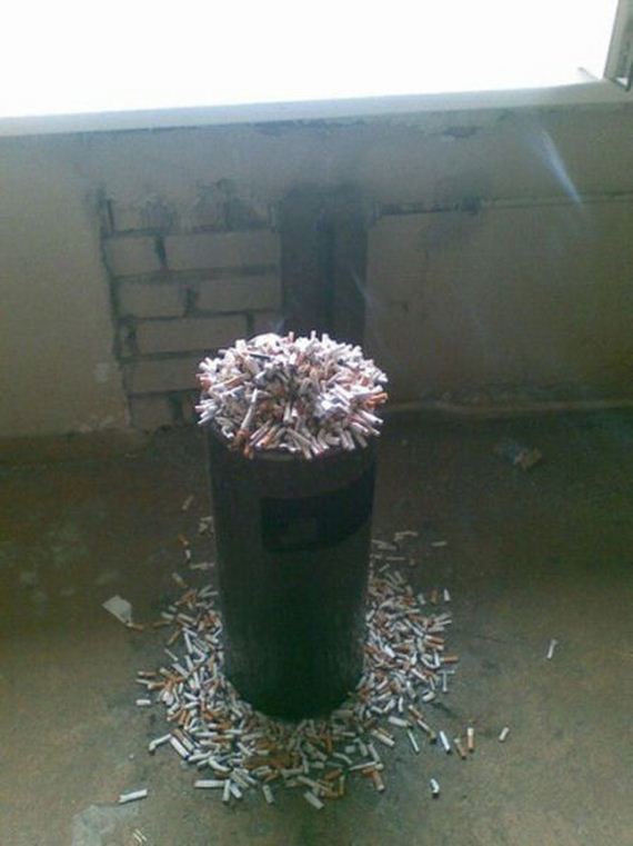 funny-pictures-427