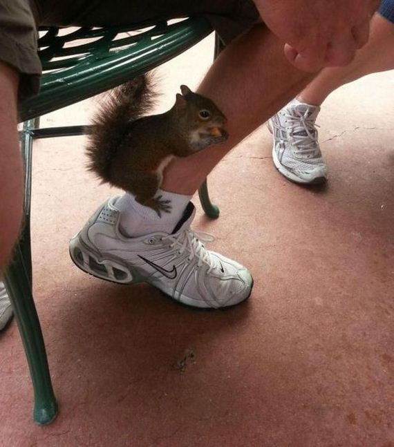 funny-pictures-427
