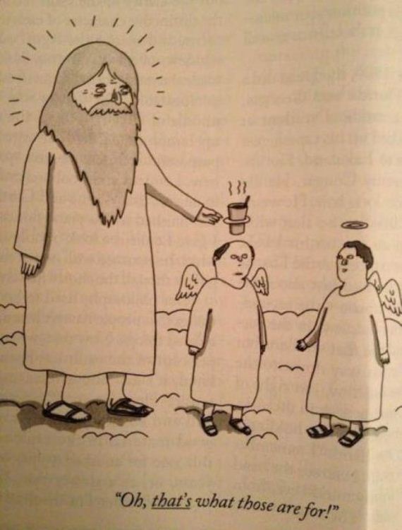 funny-pictures-429