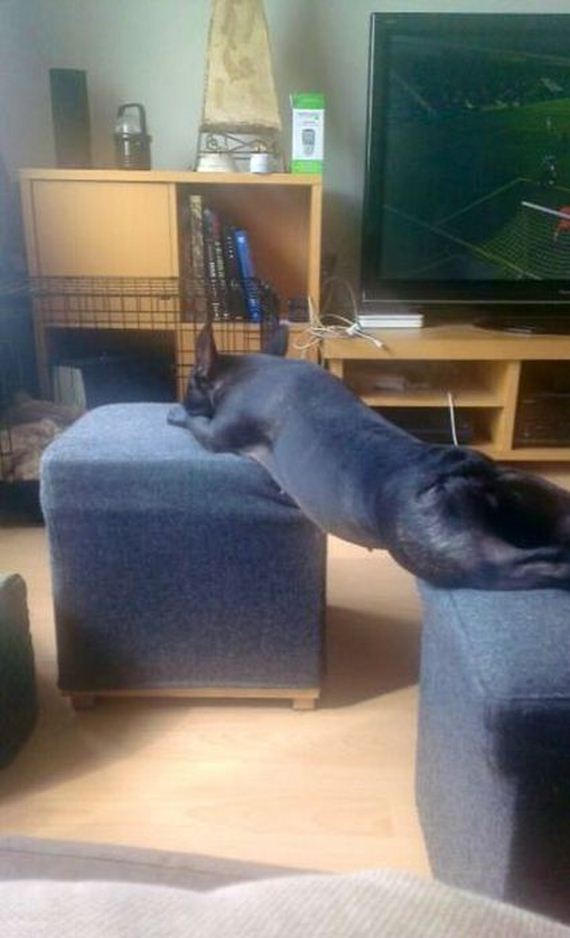funny-pictures-429