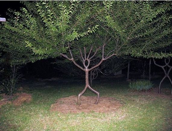 funny-pictures-429