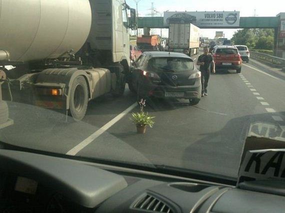 funny-pictures-430