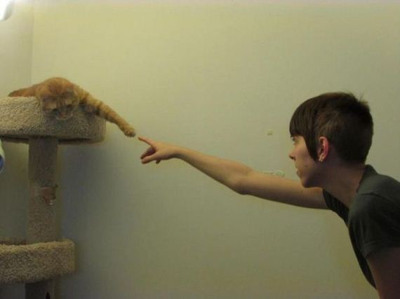 funny-pictures-430