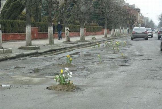 funny-pictures-430