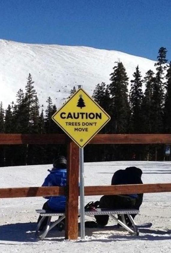 funny-pictures-430