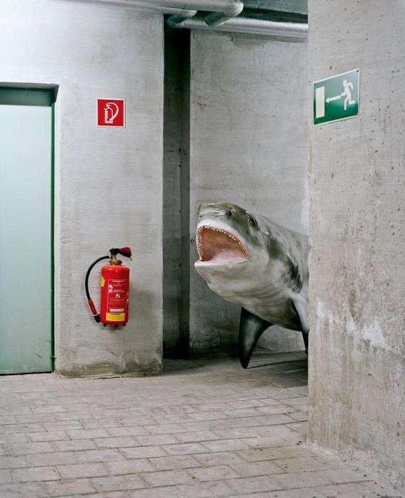 funny-pictures-430