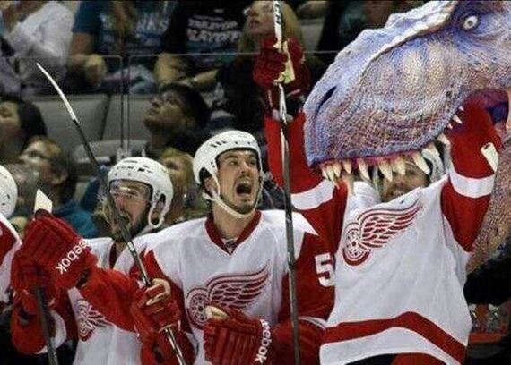 funny-pictures-432