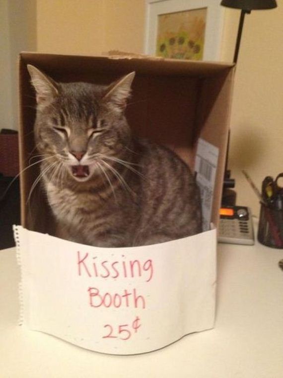 funny-pictures-432