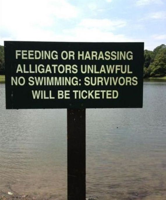 funny-pictures-432