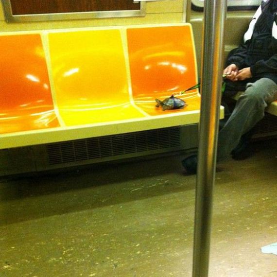 funny-pictures-432