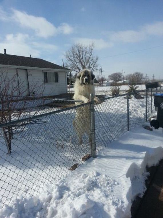 funny-pictures-432