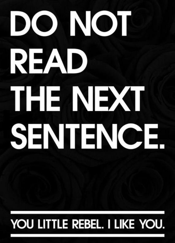 funny-pictures-432