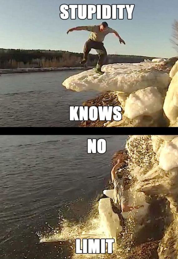 funny-pictures-432