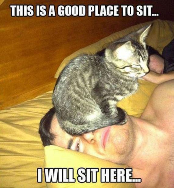 funny-pictures-433