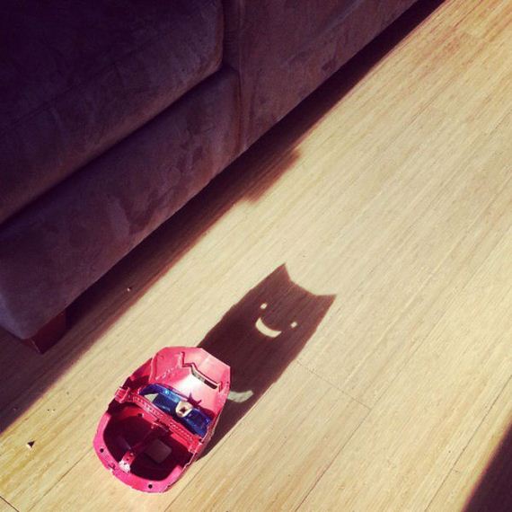 funny-pictures-433