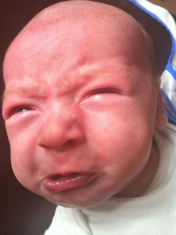 funny-pictures-433
