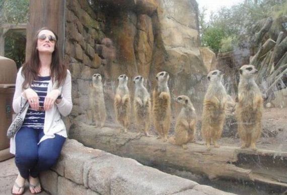 funny-pictures-433
