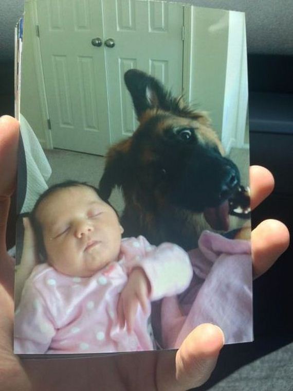 funny-pictures-434
