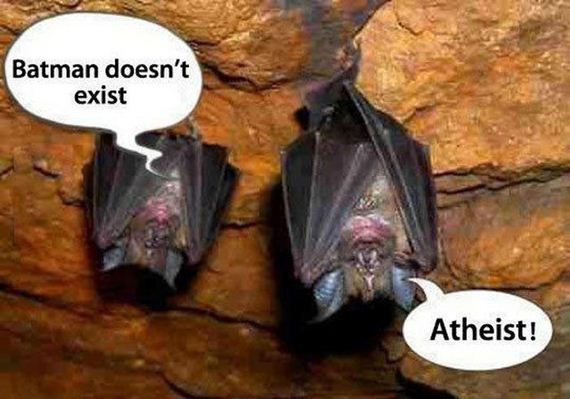 funny-pictures-434