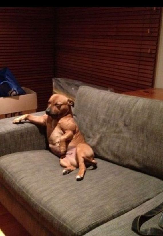funny-pictures-435
