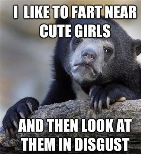 funny-pictures-435