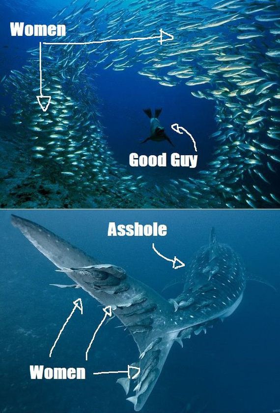 funny-pictures-435