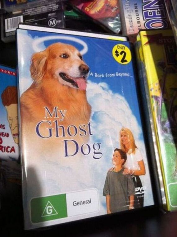 funny-pictures-436