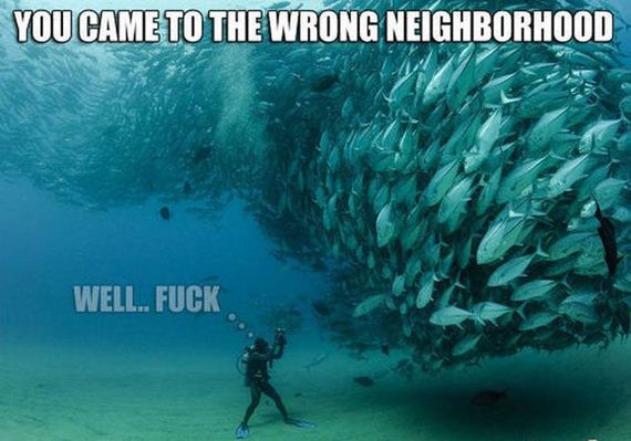 funny-pictures-436