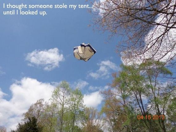 funny-pictures-436