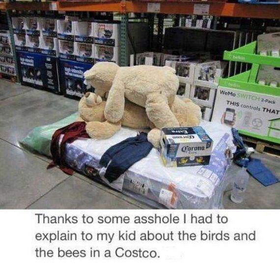 funny-pictures-436