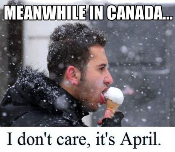 funny-pictures-436