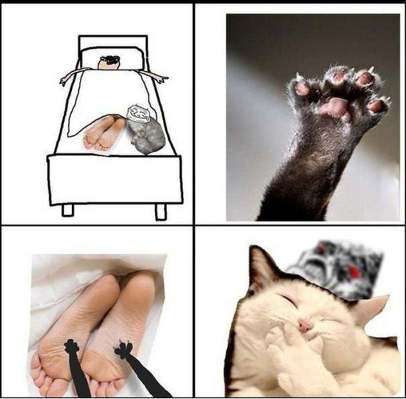 funny-pictures-436