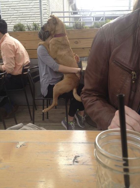 funny-pictures-437