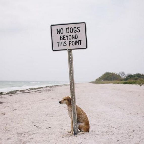 funny-pictures-437