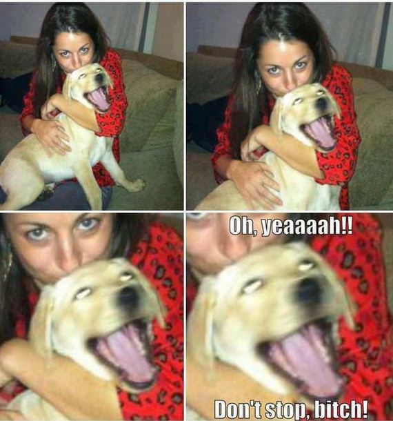 funny-pictures-437
